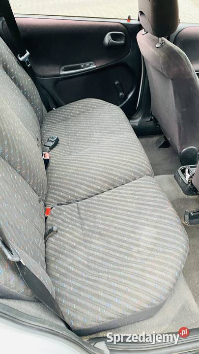 Babunia spadkobierców Rok produkcji 1999 świętokrzyskie sprzedam