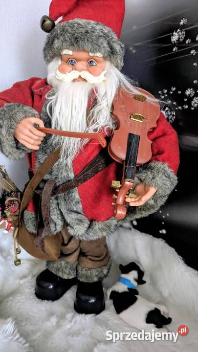 Szczenięta shih tzu Zwierzęta