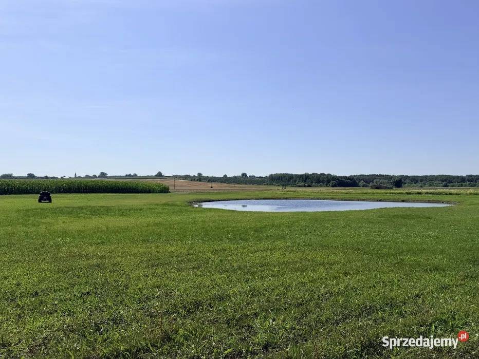 Działki rekreacyjne ze stawami w Łochowicach 6991m2