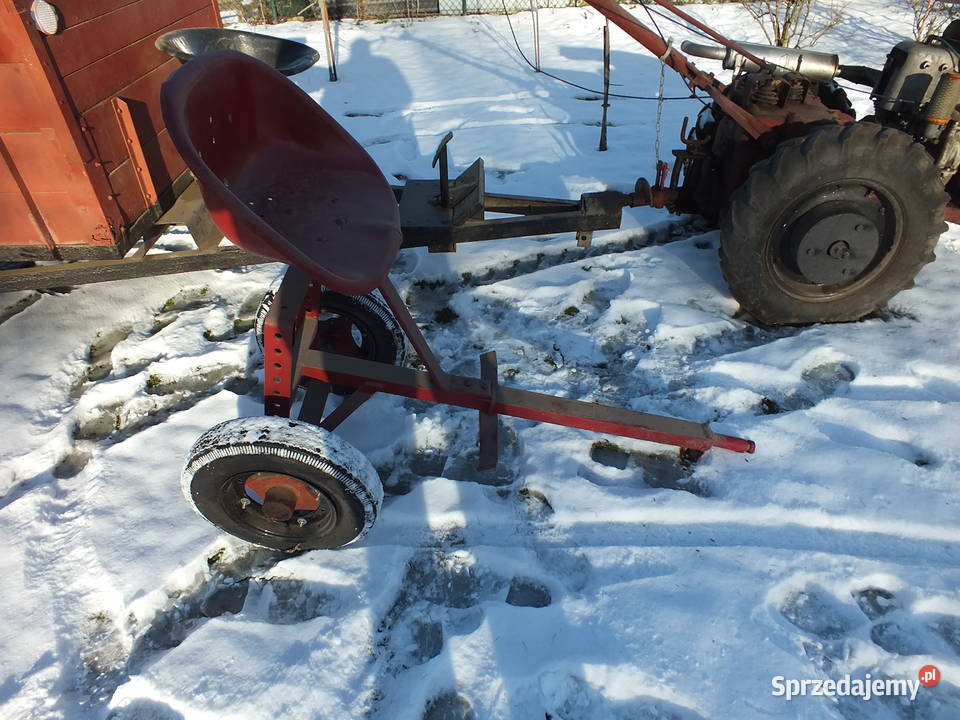 Dzik 221 Sprawny Osprzęt Kurier ŚLĄSK Golasowice