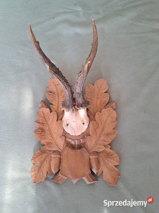 Poroże jelenia z deska drewnianą rzeźbioną Skopanie