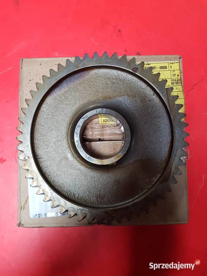 Koło zębate wałka napędowego CNH Case Holland lubuskie Sulechów sprzedam