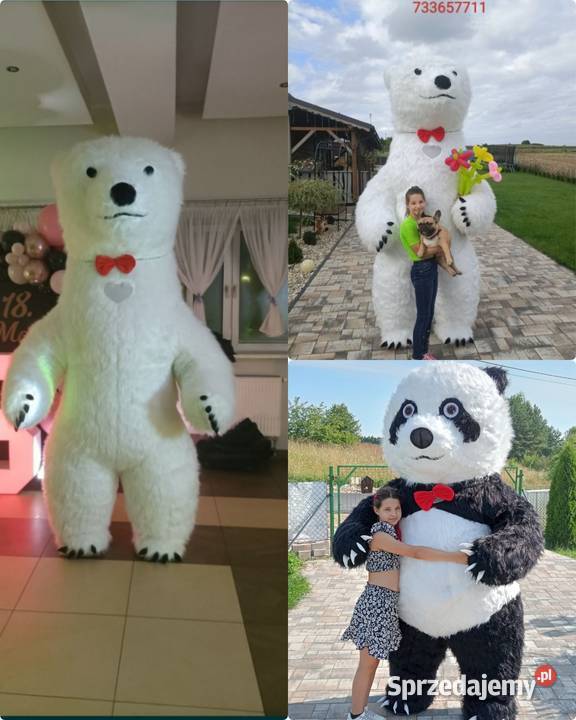 Żywa maskotka Biały Miś Luksus Panda Pluszowy śląskie Zawiercie