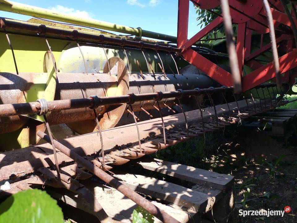 Sprzedam heder claas consul 3m nieuszkodzony świętokrzyskie Kotarszyn