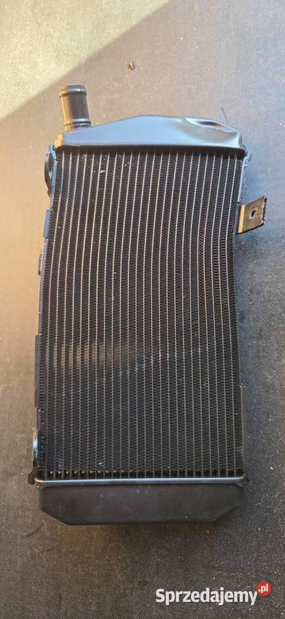 Chłodnica Triumph Tiger 1200 Explorer Szczelna wielkopolskie Poznań