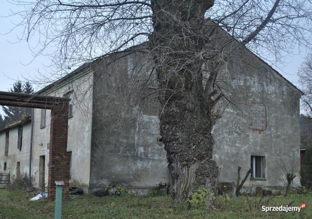 Tani Domek pod lasem Pozostałe dolnośląskie Grochowa