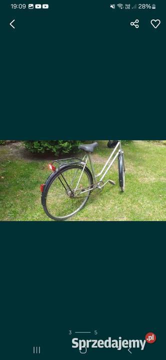 Rower damka kola 28