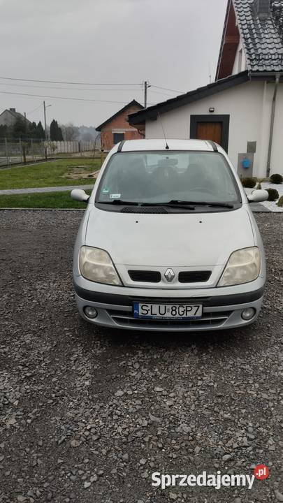 Renault Scenic Kochanowice