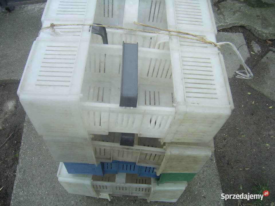 koszyki plastikowe na truskawki łódzkie Bratoszewice