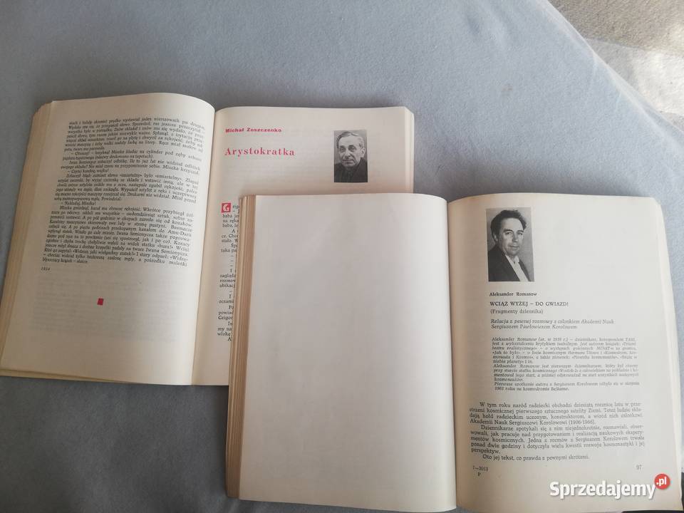 Literatura Radziecka 1967 Rok wydania 1967 Wronki