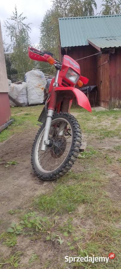 Honda nieuszkodzony