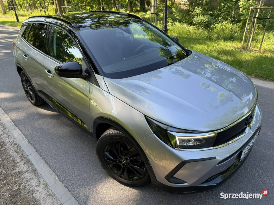 Opel Grandland 12 T 131 GS Line Full Led Navi garażowany kujawsko-pomorskie Józefkowo