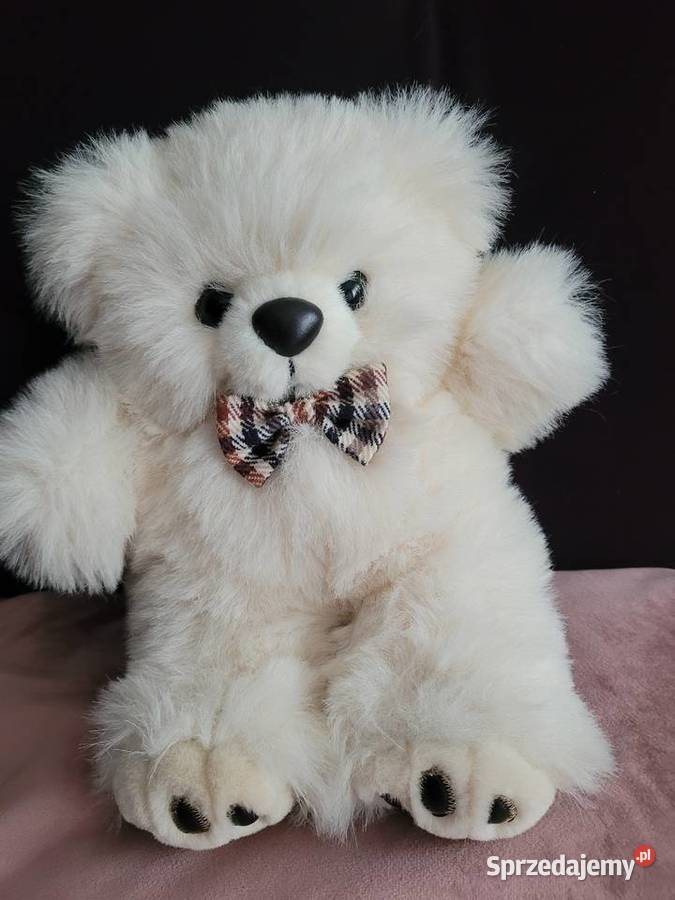 Sprzedam nowego misia