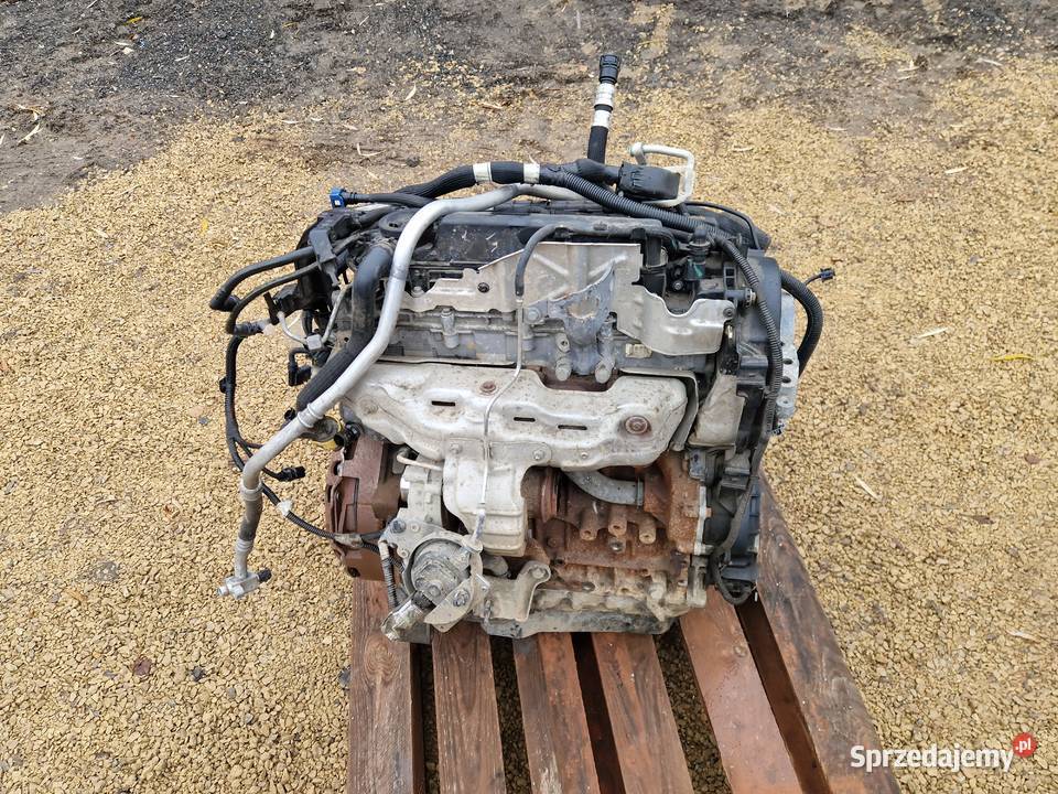silnik PSA DW10FU pochodzi z Boxera przywieziony dostawcze Zelów