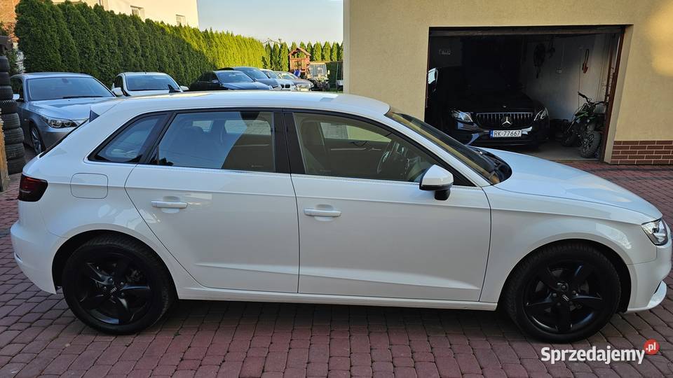 Audi A3 16TDI 116 2018r Lift Led Xenon z Włoch Rok produkcji 2008