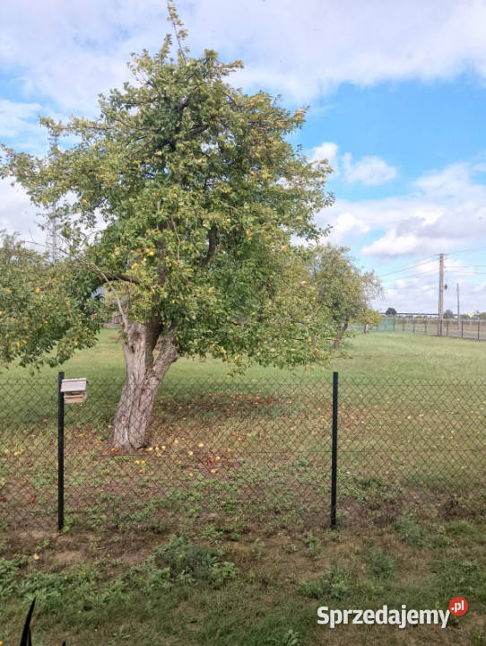 Sprzedamzamienię dom pod Łodzią 1 piętro Rokiciny