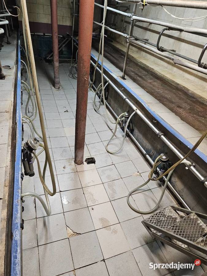 Hala udojowa rybia ość 2x5 2x6 Polanes podlaskie sprzedam