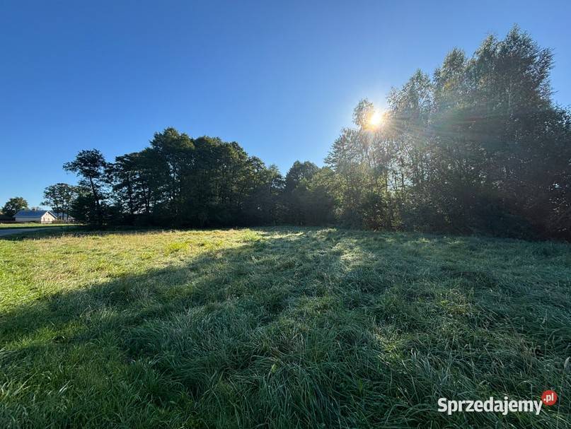 Działka budowlana 2000 m2 w spokojnej okolicy Rogóźnia