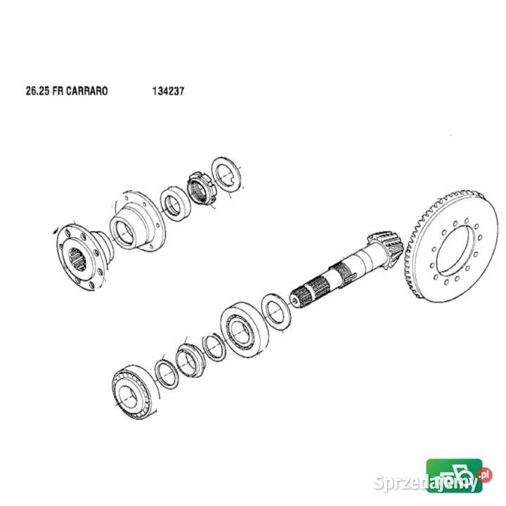 Wałek Ataku 1331 Koło Talerzowe 065526 Carraro Wilkowo