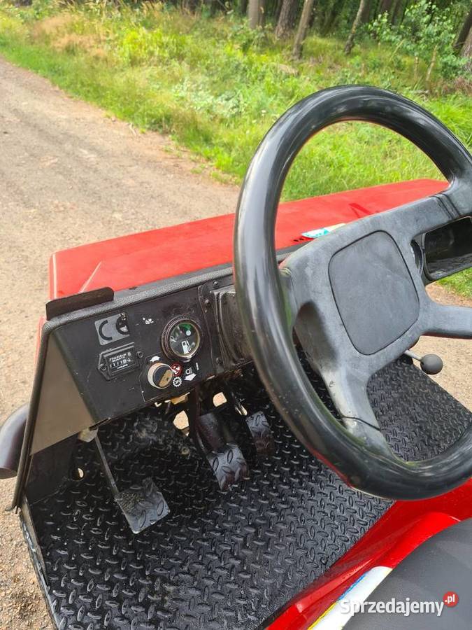 Toro 3300d workman śląskie Pszczyna