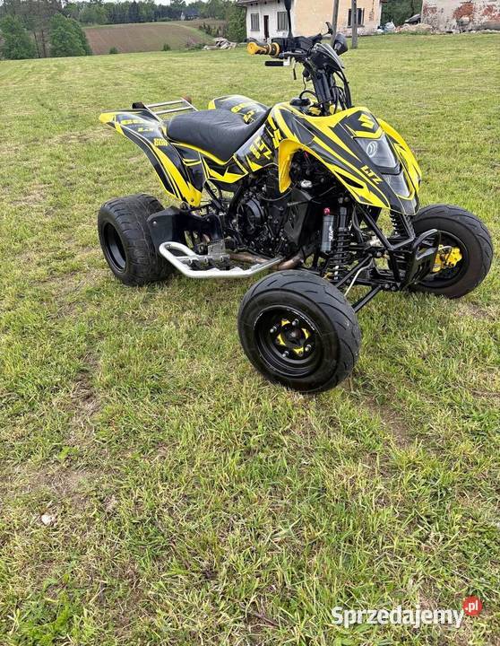 Suzuki LTZ SWAP er6