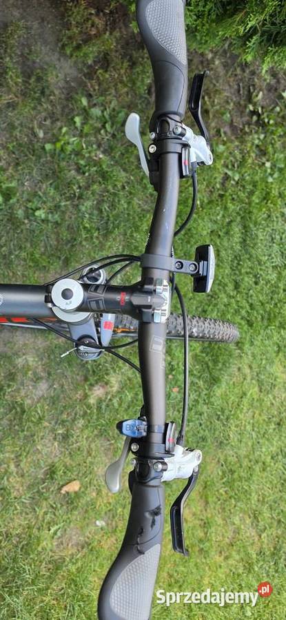 Rower BULLS CROSS RS1 Lichawa