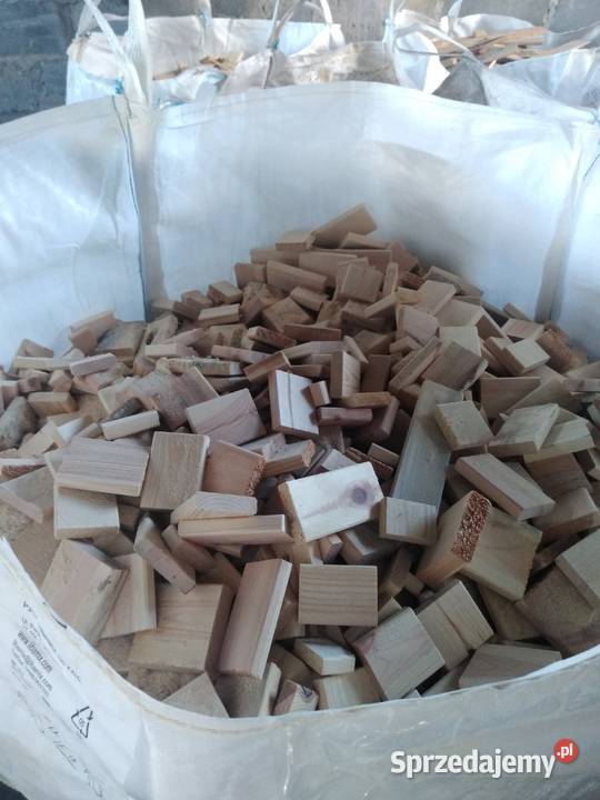 Drzewo sosna sucha BigBag