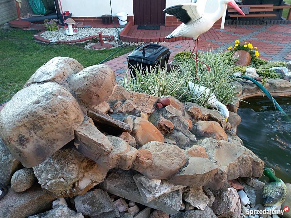 Oczko wodne komplet Myszków