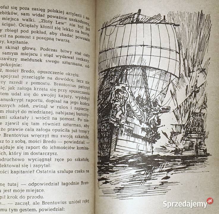 Skarby zatoki Kazimierz Radowicz Książki i Podręczniki sprzedam