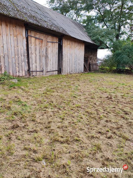 Gospodarstwo rolne z lasem Pakuły
