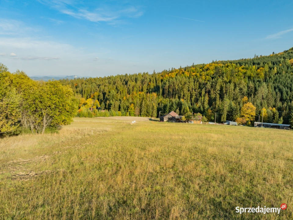 Działka budowlana Łapsze Niżne 2000m2 41m
