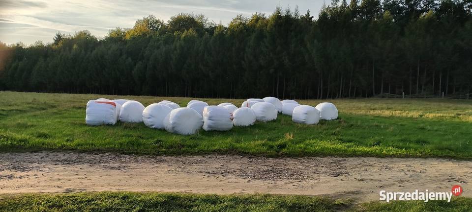 Sianokiszonka bele Trawy, słoma Garcz