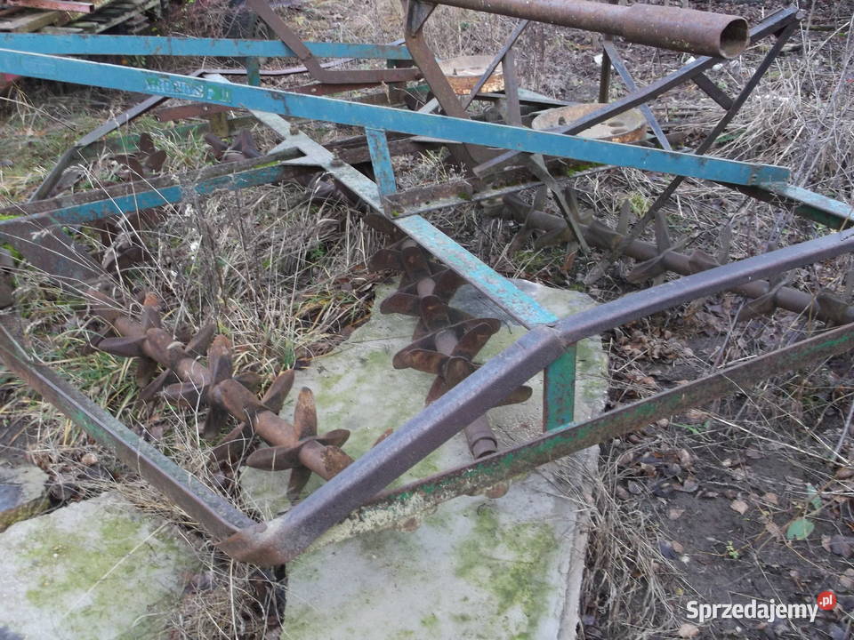 Brona kolczatka Brony Białystok sprzedam