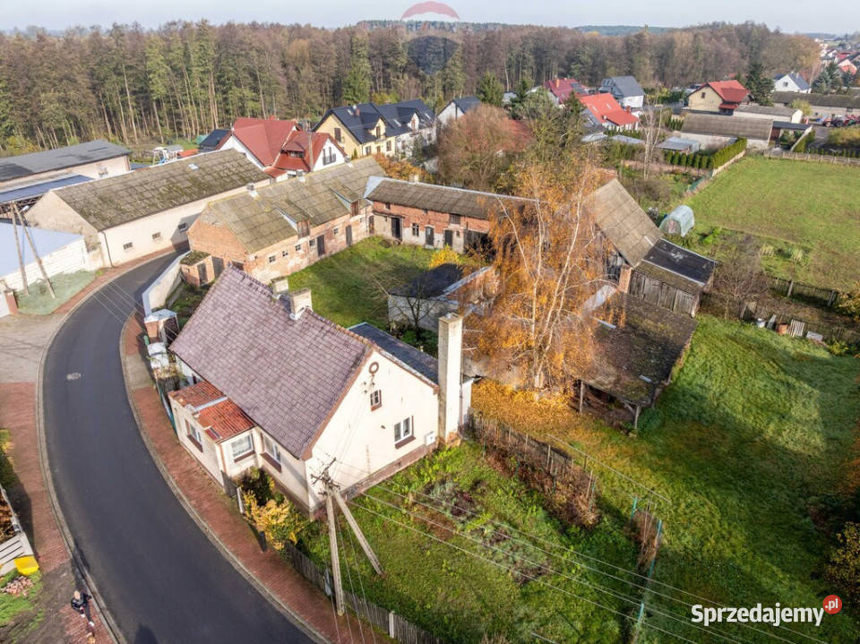 Podrzewie dom zabudowania na dużej działce