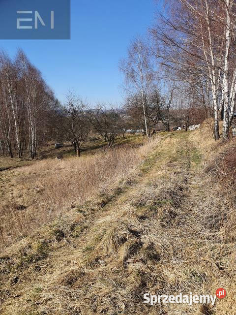 Działka 5000m2 Jazowa telefon Sprzedaż sprzedam