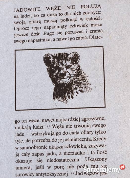 Album Lew nie jest królem zwierząt pomorskie Gdańsk