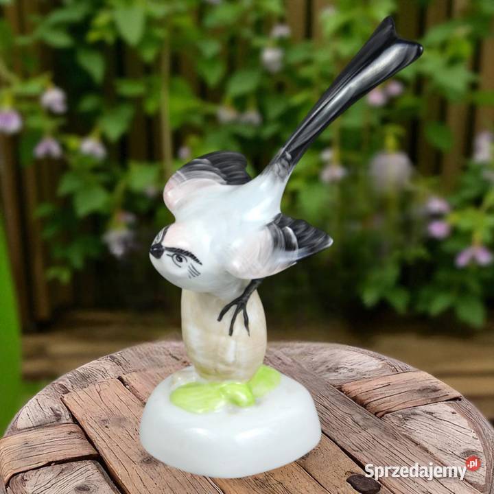 Ptak na szyszce Aquincum Budapeszt Węgry lata