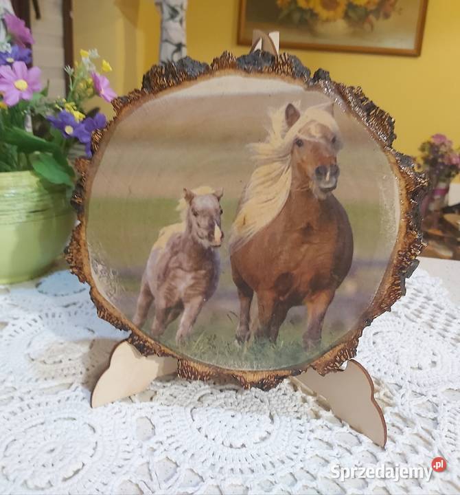 Obrazki miłośników koni inny kolor Dobrzechów