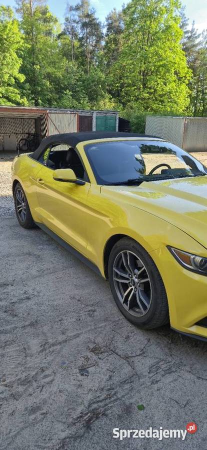Ford Mustang 23 310 koni cabrio w pięknym skórzana tapicerka Mrozy sprzedam