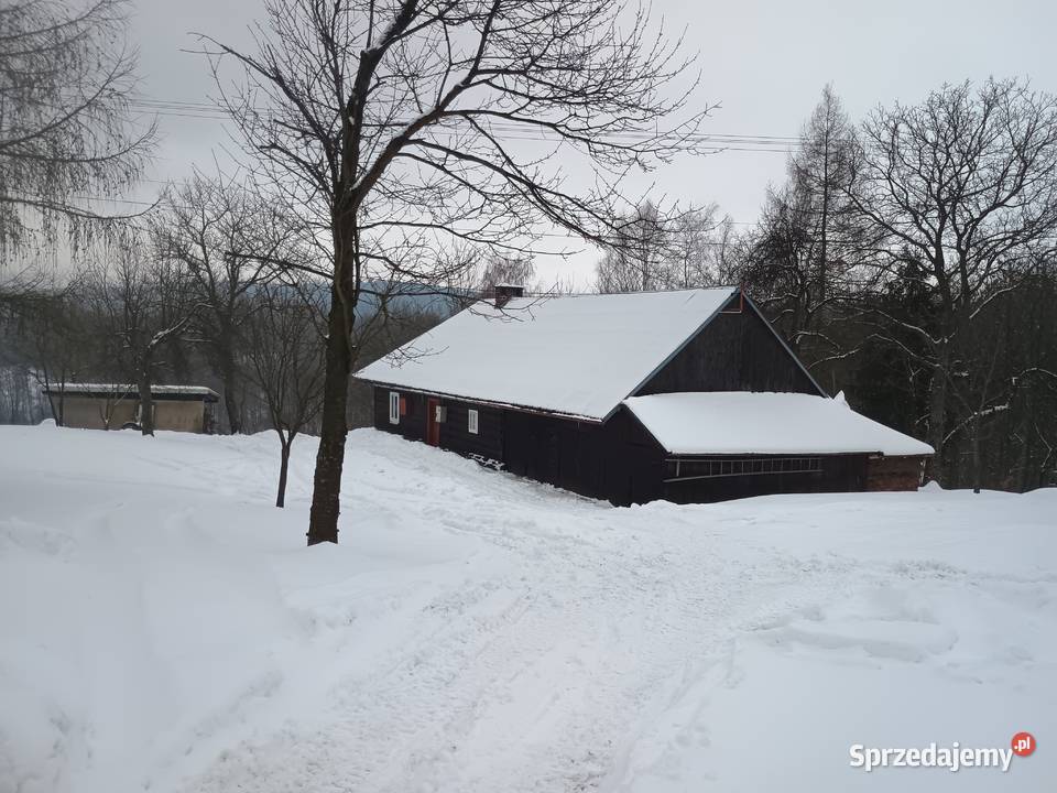 Dom drewniany działka 24ary 150m2 Haczów