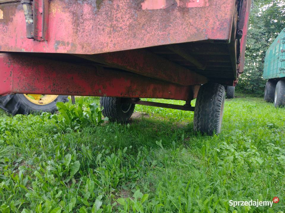 Przyczepa rolnicza Tim 65 wywrotka na tył nieuszkodzony Przyczepy rolnicze Sośno sprzedam