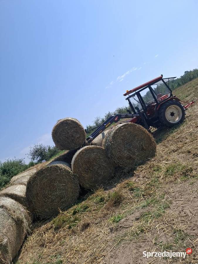 Sprzedam słome pszeniczną Ćwiętalka sprzedam
