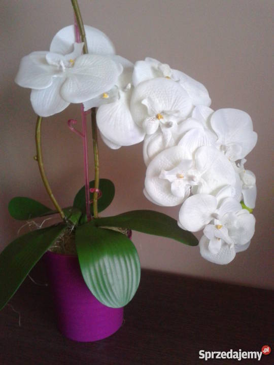 Sztuczny storczyk żywy NOWY 60 sztuczne kwiaty Dekoracje i ozdoby Radomsko