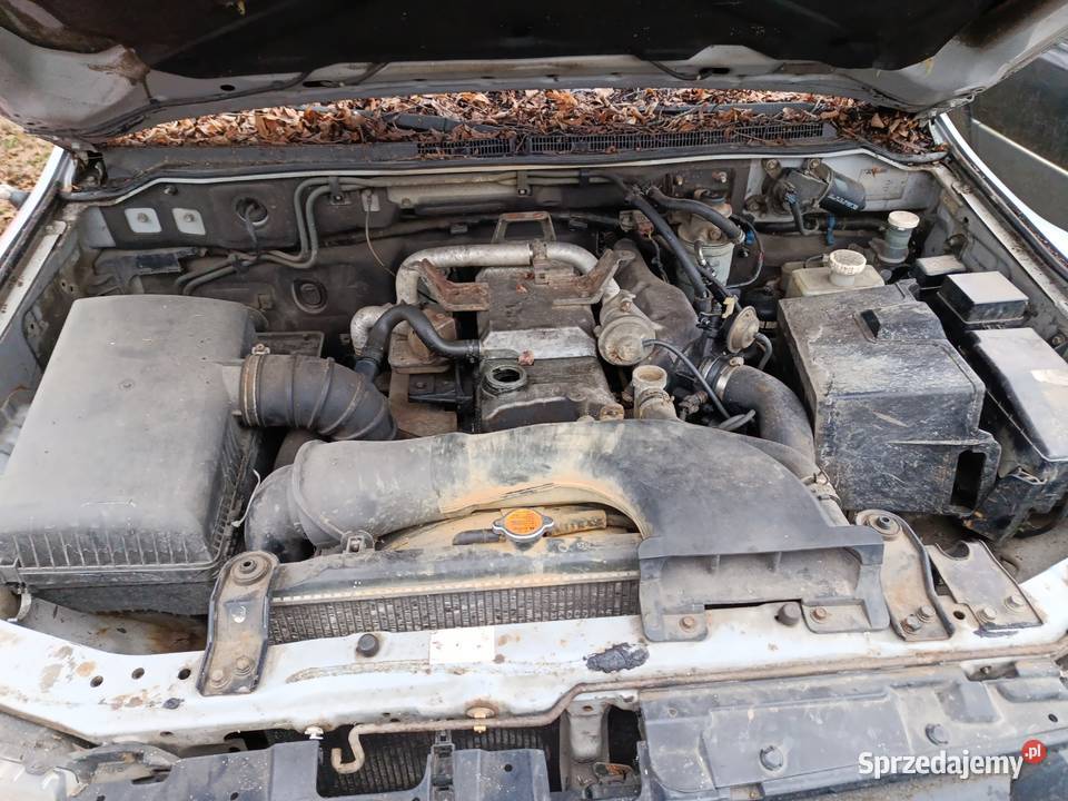 Mitsubishi Grand Pajero 32 118 kW 2001 r dawca Szklarka Myślniewska
