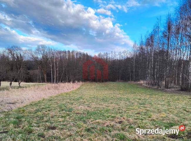 Grunt na sprzedaż 3500m2 Woliczka asfalt podkarpackie