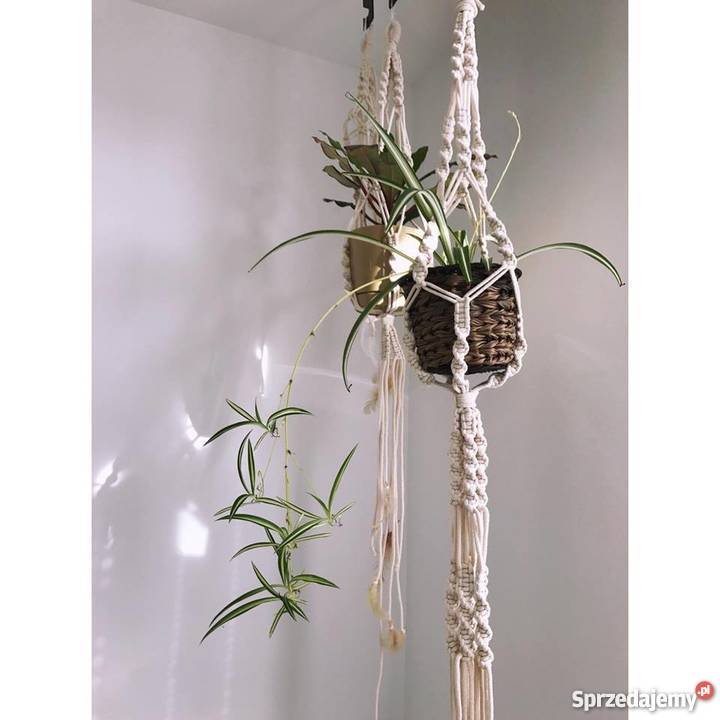 kwietniki łódzkie Łódź