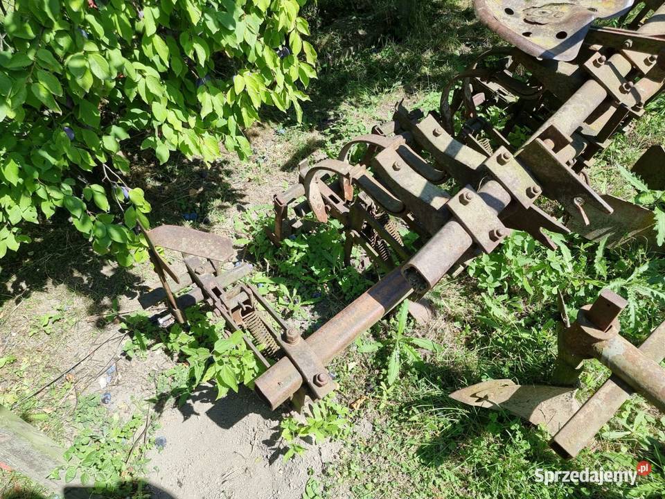 Wielorak pazurki obsypnik dołkownik Pozostałe