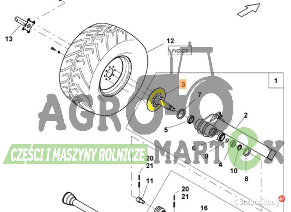 950059 PIASTA AMAZONE Pozostałe Wichrów