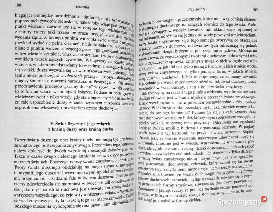 Teozofia Rudolf Steiner miękka Pozostałe Chełm