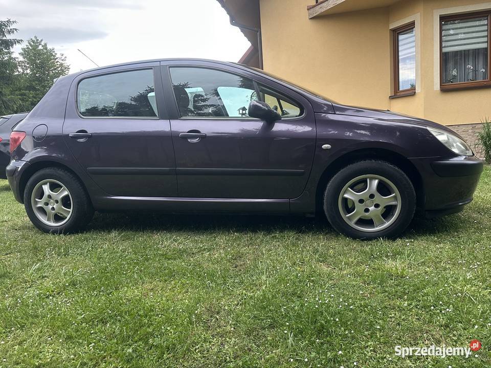 Peugeot 307 16 16V 109 307